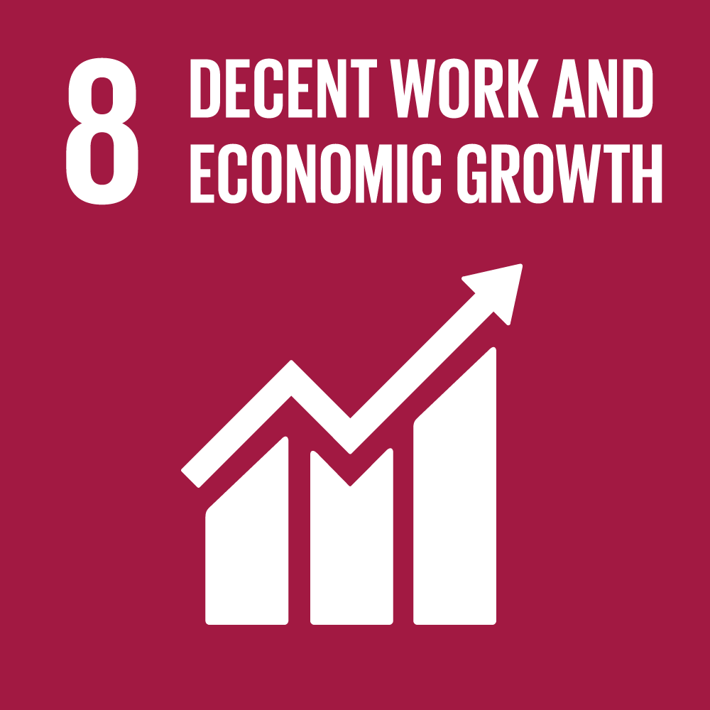 SDG8